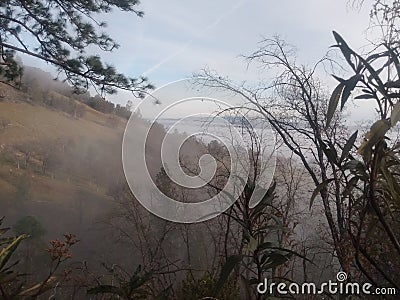 Blue sky envelops fog of treed hillside Stock Photo