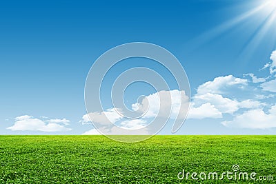 Blue sky and green field Stock Photo