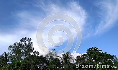 blue sky with green village trees,they are playing each other with colour vibration Stock Photo