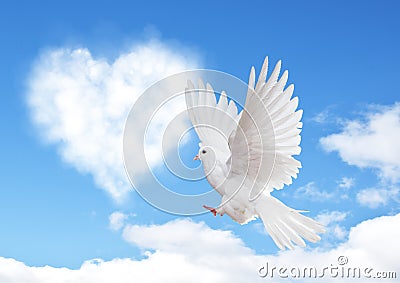 Blue sky with hearts shape clouds and dove. Stock Photo