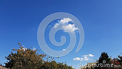 Blue Sky over the Tree Tops Stock Photo