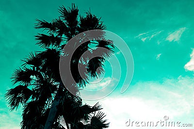 Vintage Summer Bliss: Blue Sky and Palm Trees from Below Stock Photo