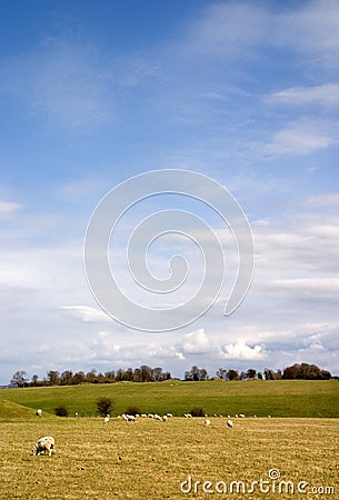 Blue sky pasture Stock Photo