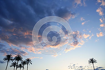 Blue sky with pink gray clouds sunset Stock Photo