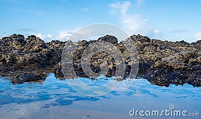 Blue sky reflected in a rock pool at the beach in winter, with dark, rugged rocks Stock Photo