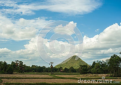 Blue sky with rice field Stock Photo