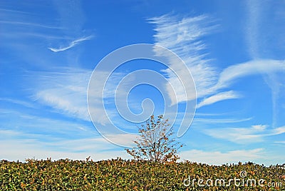 Blue Sky Scenic Stock Photo