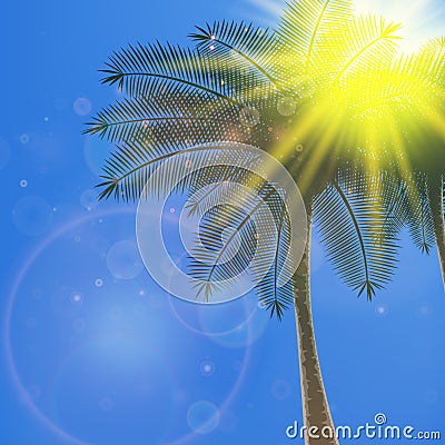 Blue sky with summer sun burst background. Vector Illustration