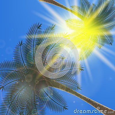 Blue sky with summer sun burst background. Vector Illustration