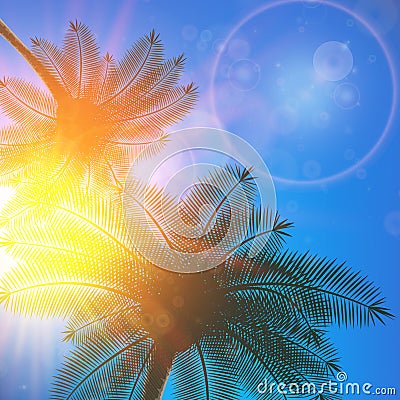 Blue sky with summer sun burst background. Vector Illustration