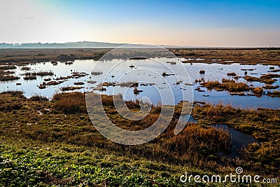 Blue sky on a sunny day in north Norfolk, England Stock Photo