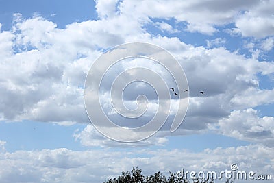 Blue sky with white big clouds Stock Photo