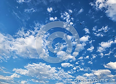 Blue Sky With White Cloud & Flying Birds Stock Photo