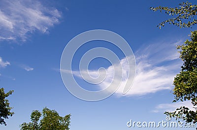 Blue sky and white cloud in the shape of sharp beak of a bird or swordfish Stock Photo