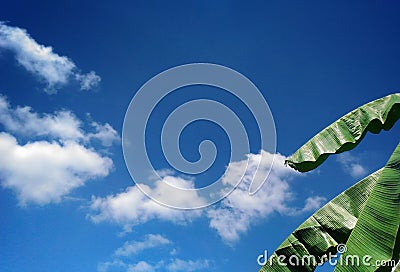 Blue sky Stock Photo