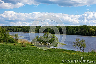 Blue sky with white clouds. Forest on the banks of the river. Stock Photo