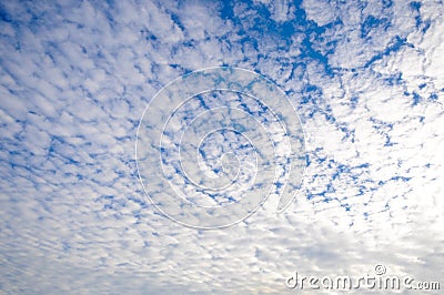 Blue sky with white clouds on sunset. Many little white clouds creating a tranquil weather pattern on the blue background Stock Photo