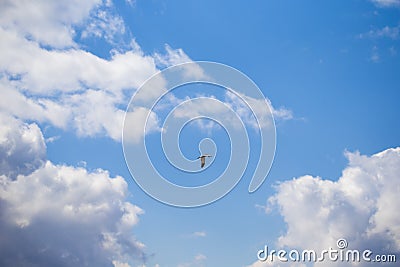 Blue sky with white flying clouds Stock Photo