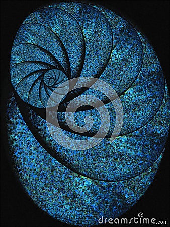 Blue Snail Shell Fossil Spiral Stock Photo