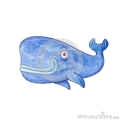 Blue sperm whale Cartoon Illustration