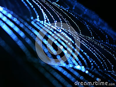 Blue spider web Stock Photo