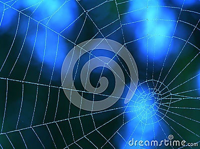 Blue spider web Stock Photo