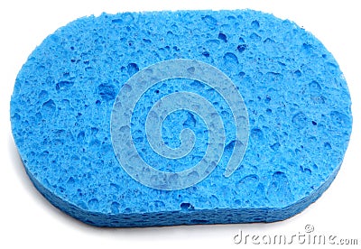 Blue Sponge Stock Photo