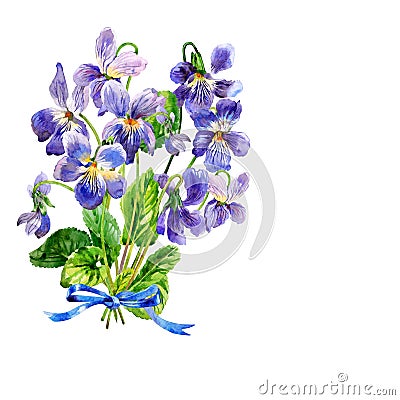 Blue spring flowers. Bunch of violets. Watercolor. Stock Photo