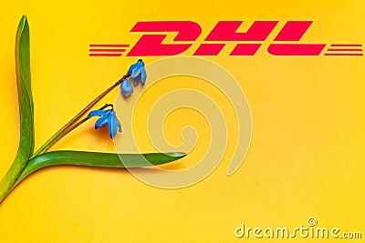 Blue spring flowers on an Yellow postal envelope with dhl logo. Fresh flowers Scilla siberica as a symbol of fast delivery. DHL is Editorial Stock Photo