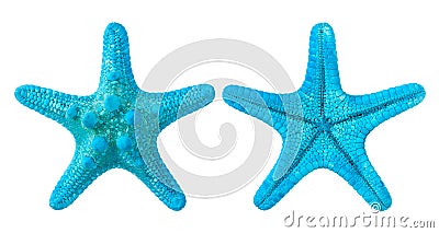 blue starfish Stock Photo