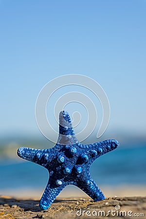Blue starfish standing on rock at the beach. Blurred blue sea on background Stock Photo