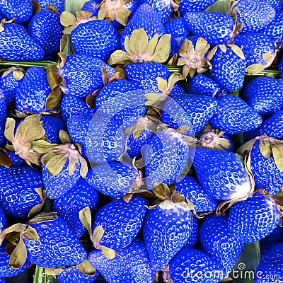 Blue strawberries art Stock Photo