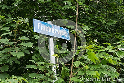 Blue street sign overgrown by forest Stock Photo