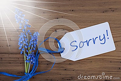 Blue Sunny Srping Grape Hyacinth, Label, Sorry Stock Photo