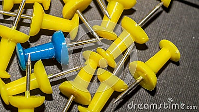 Blue surrounded by yellow push pins. Stock Photo