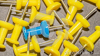 Blue surrounded by yellow push pins. Stock Photo