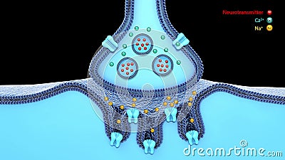 Synapse Stock Footage & Videos - 1,151 Stock Videos Synapse Stock Footage & Videos - 1,151 Stock Videos