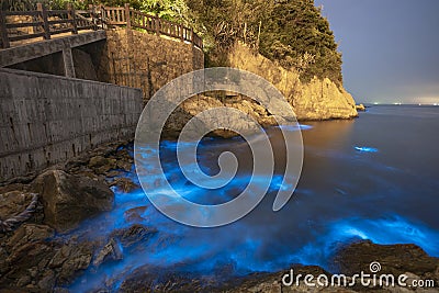 Blue tears Noctiluca scintillans. Stock Photo