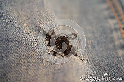 Blue texture maden from a piece of jeans with torned hole with threads blurred toned. Stock Photo