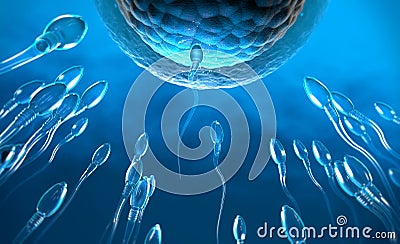 Blue transparent sperm cells swimming towards egg cell Cartoon Illustration