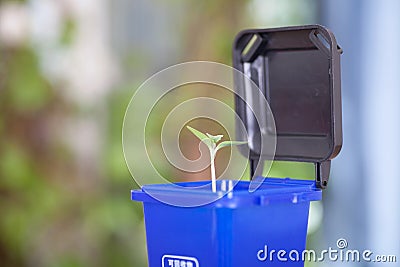 Blue trash can model containing recyclable garbage opens the lid to grow buds. The Chinese characters on the trash can mean`Recycl Stock Photo