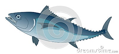 Blue tuna Vector Illustration