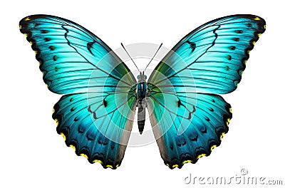 Blue turquoise butterfly with spread wings cut out on a white background. Generative AI illustration Stock Photo