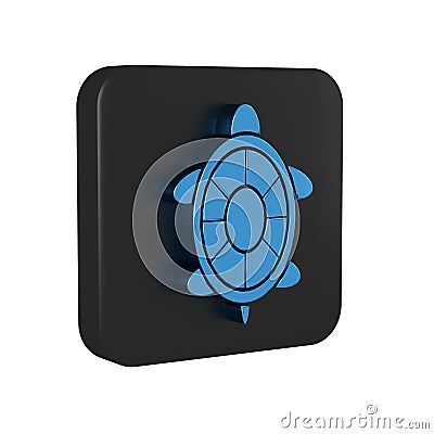 Blue Turtle icon isolated on transparent background. Black square button. Stock Photo