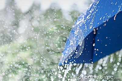 Blue umbrella under heavy rain against nature background. Rainy weather concept Stock Photo