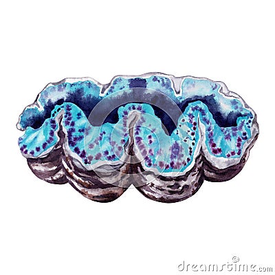 Blue underwater giant clam. Coral reef tropical collection. Hand drawn watercolor illustration isolated on white background Cartoon Illustration