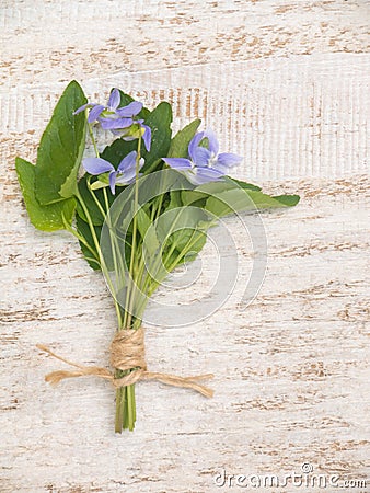 Blue viola flowers bouquet tied with jute rope Stock Photo