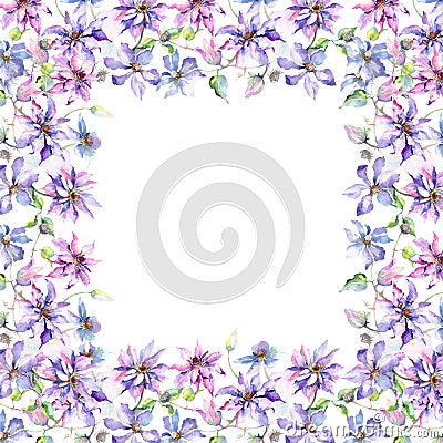 Blue violet clematis bouquet botanical flowers. Watercolor background illustration set. Frame border ornament square. Cartoon Illustration