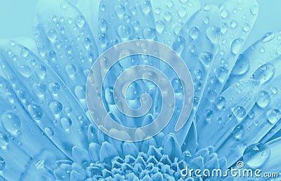 blue water flower background Stock Photo