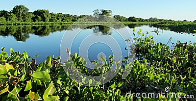 Blue water River Uruguay in Brazil Stock Photo